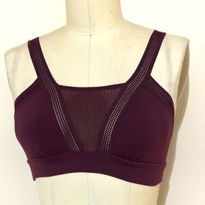 Aerie Burgundy Mesh Crop Top